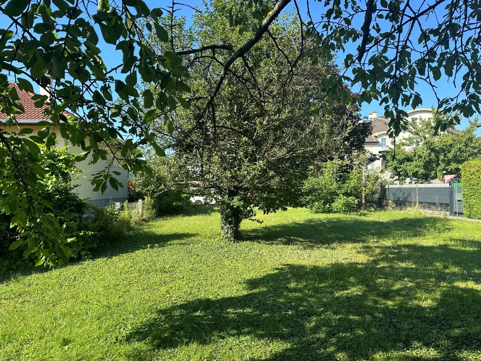 Garten_2