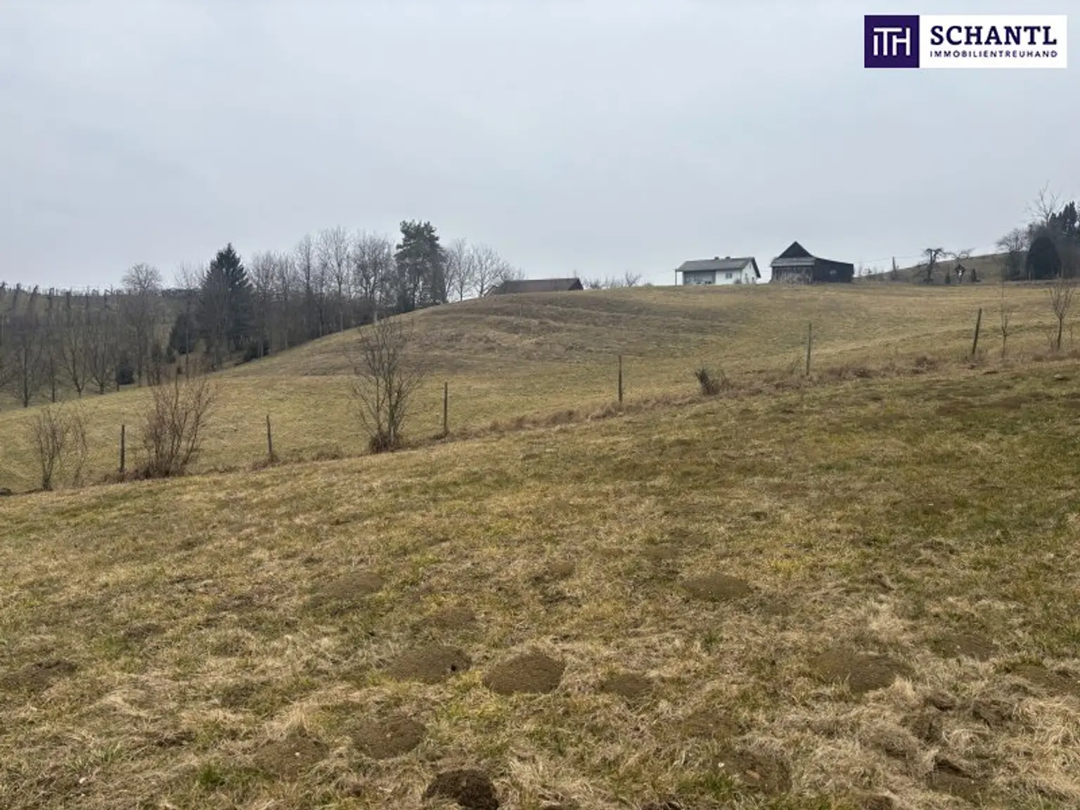 ++ SELTENE GELEGENHEIT ++ GENIAL für PFERDEHALTUNG ++ BAUERNHOF mit ca. 7 HA Landwirtschaftlicher Fläche und Wald ++ NEBENGEBÄUDE++ NÄHE GRAZ++