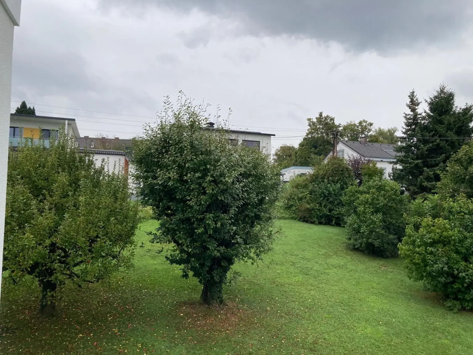 Ausblick