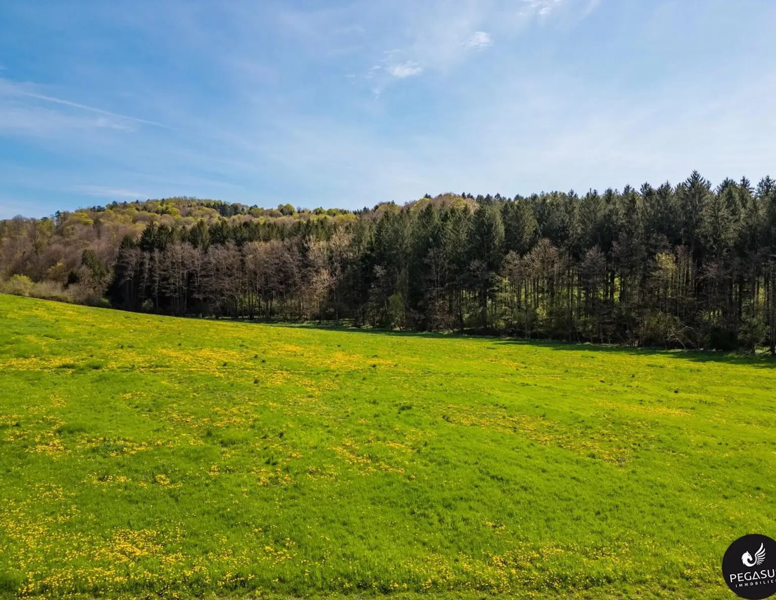 Schlosscamping Kornberg - Mach es zu deinem Projekt