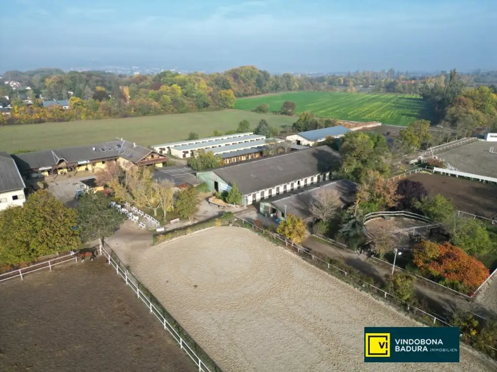 Exklusive Reitsportanlage vor den Toren Wiens – 145 Boxen | Reithallen | Reitplätze | Koppeln | Villa & Personalwohnungen