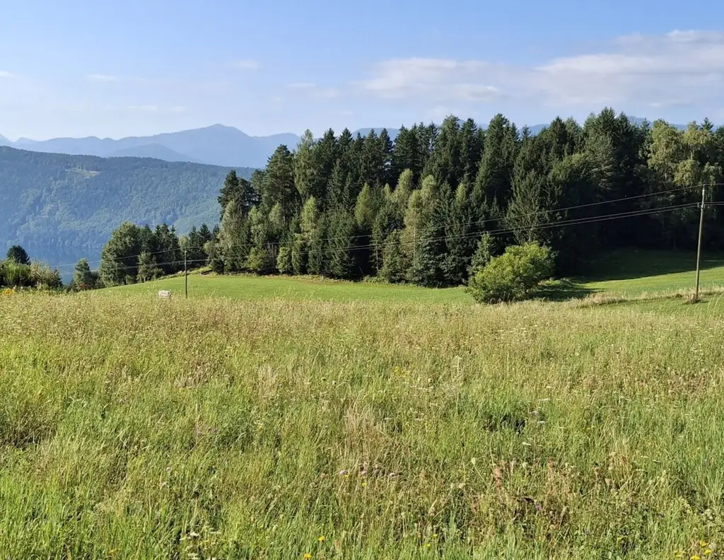 Traumhaftes Baugrundstück in Sappl, Kärnten - Blick auf den Millstätter See.