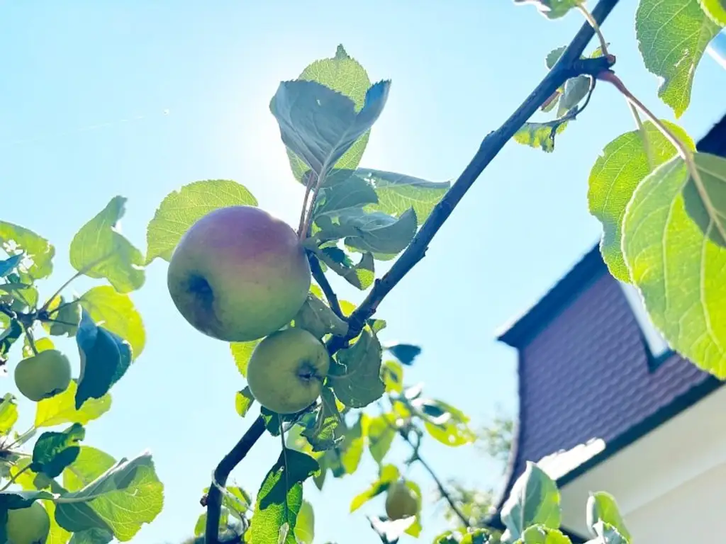 Sonnige großzügige Doppelhaushälfte - 5 Zimmer - toller Garten