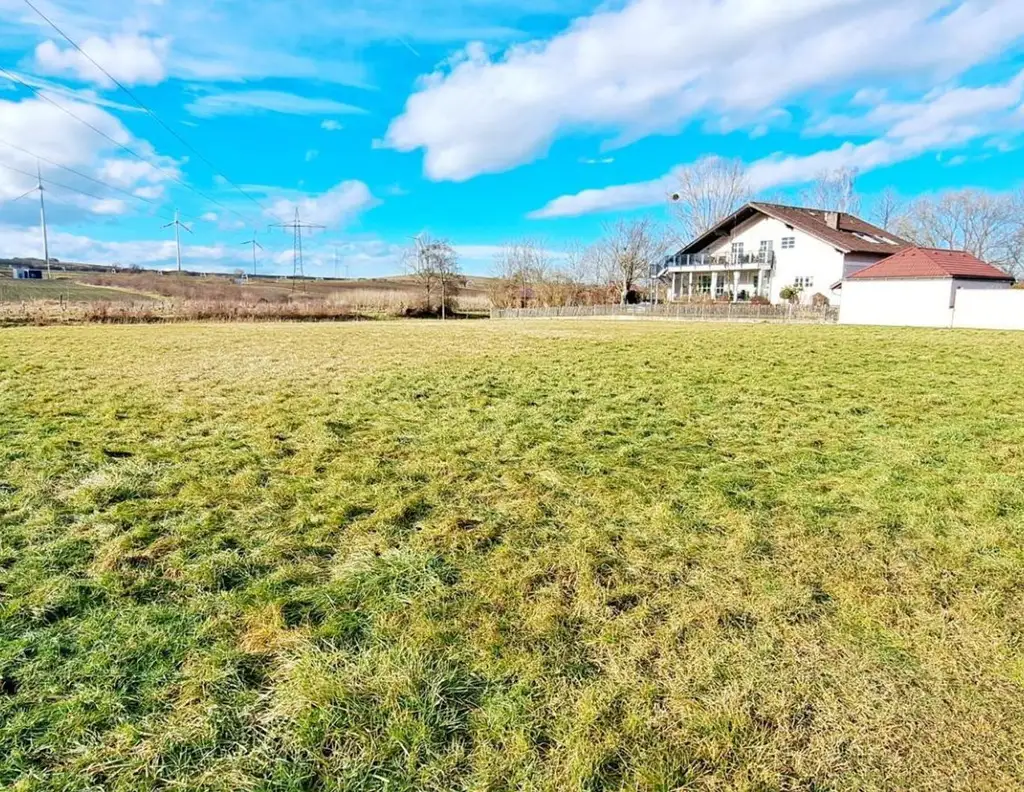 VIEL GRUND - VIEL GRÜN