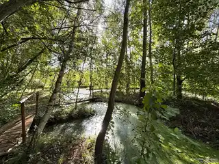 IMG_9150