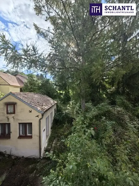 Ein Platz für echte Landliebhaber - und ein Paradies für Selbermacher! Verwirklichen Sie Ihren Wohntraum in idyllischer Umgebung von Sitzendorf