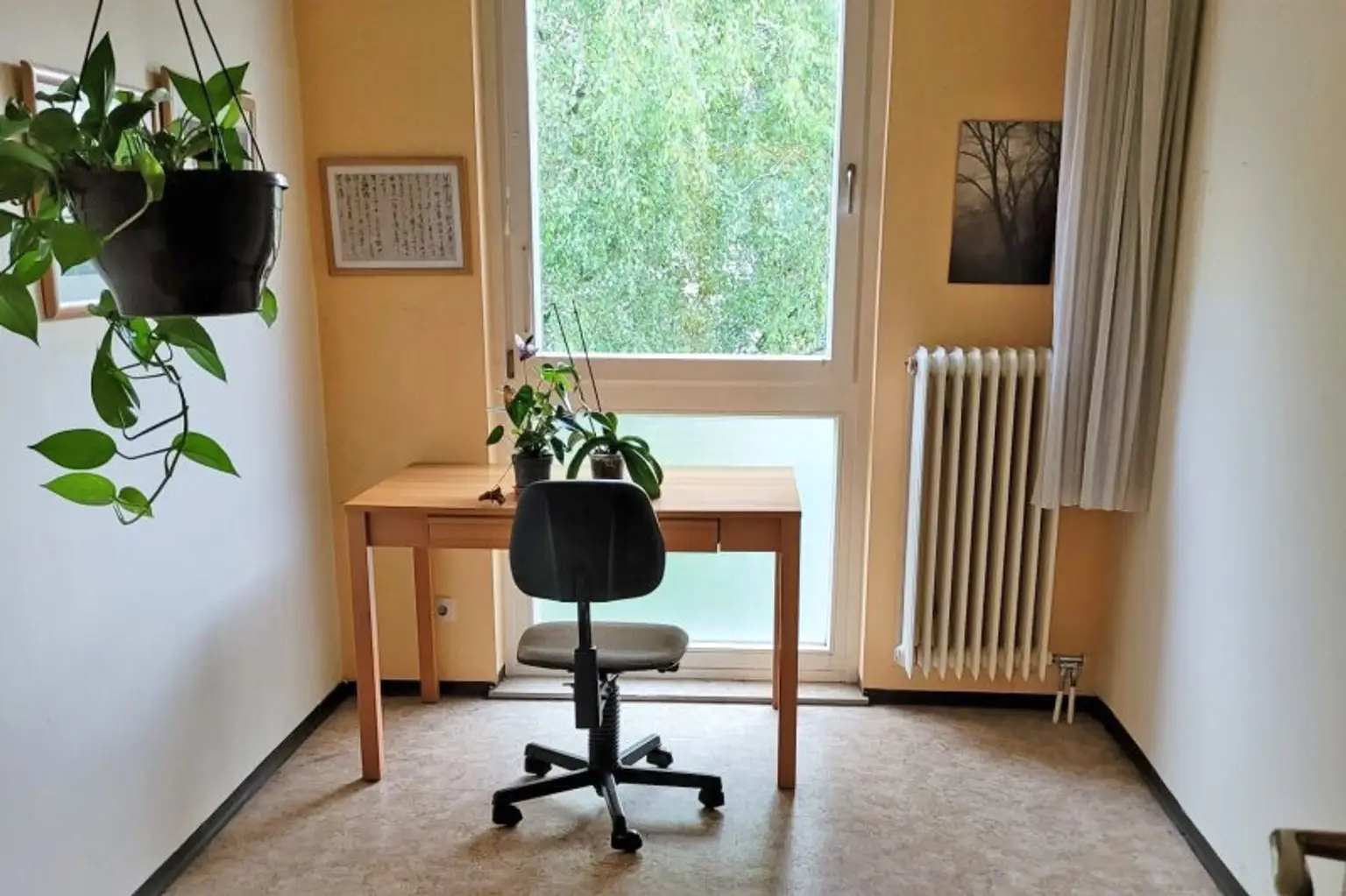 Sonnige 3-Zimmer mit Loggia, Schwimmhalle und Sauna in Purkersdorfer Zentrumslage