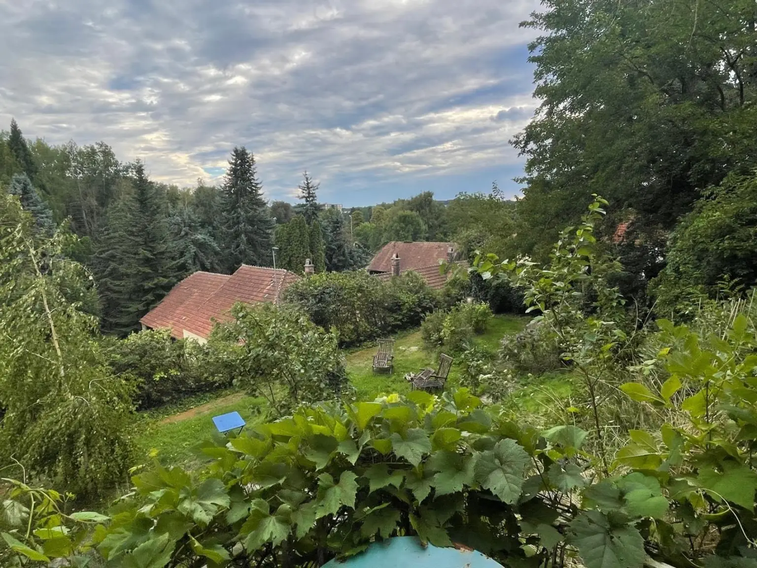 Ausblick vom OG, westl. Zimmer