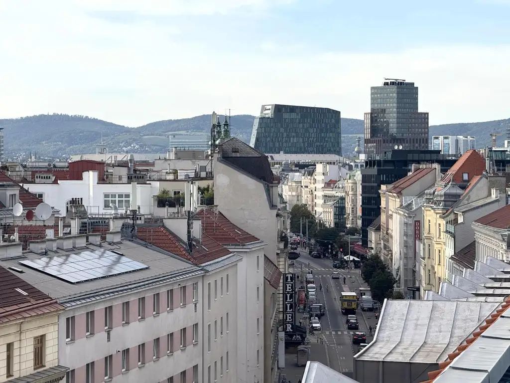 Terrassenmaisonette im Dritten, ein Juwel zum Einziehen // Terrace maisonette in the third (district), a gem to move into //