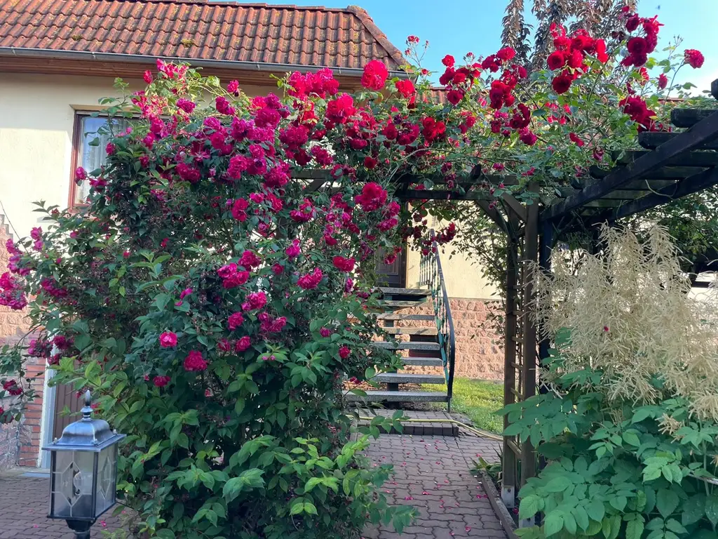 Wohnen in Ruhiglage
