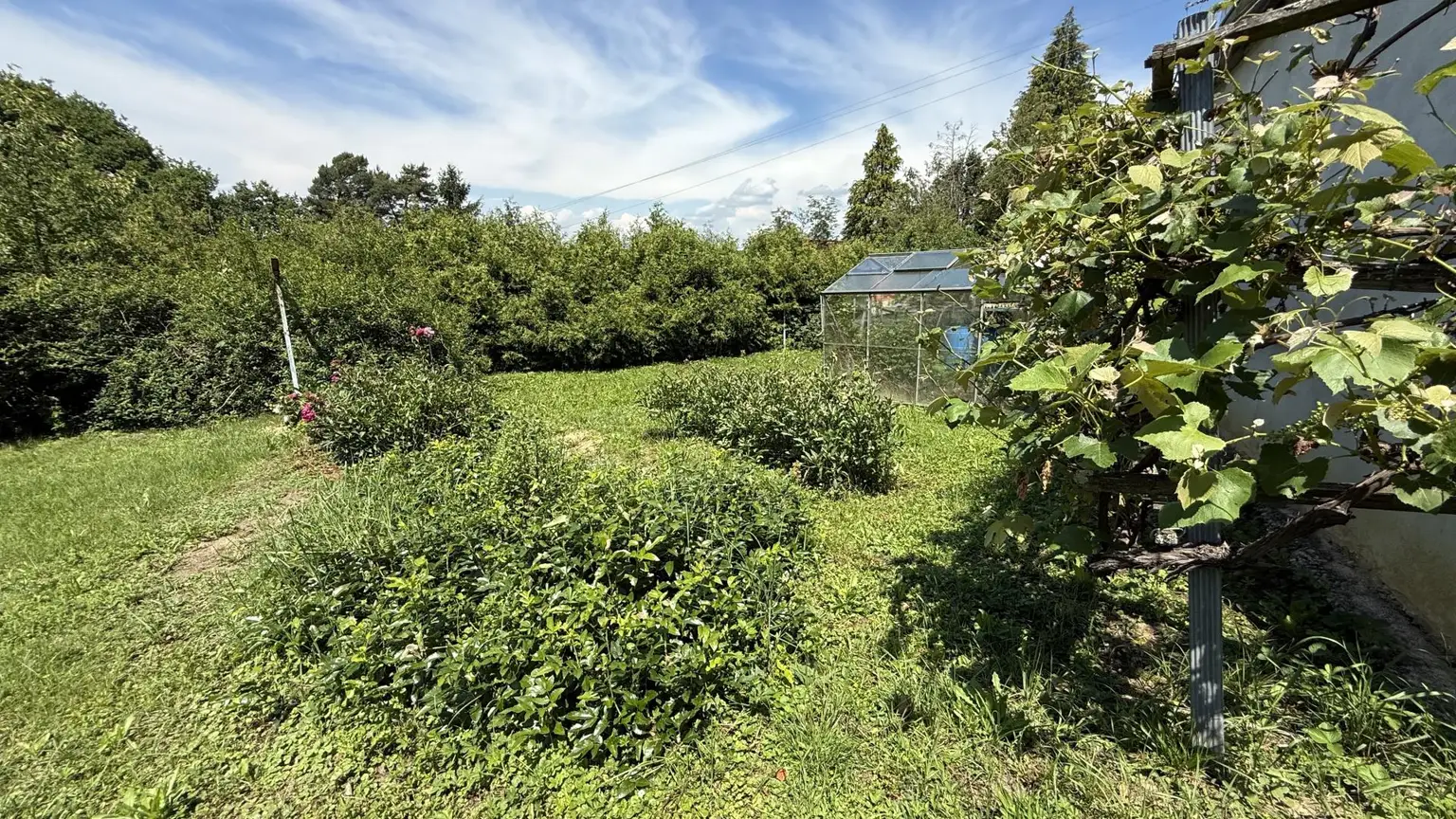 Gemüsegarten