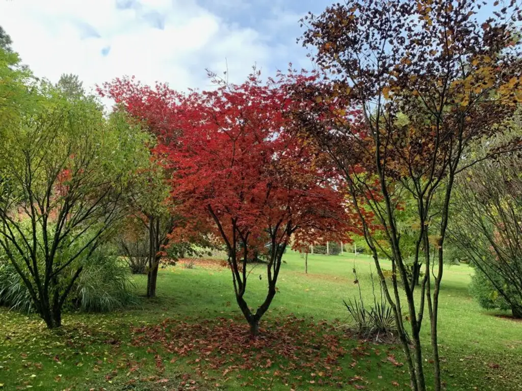 Landhaus in Alleinlage