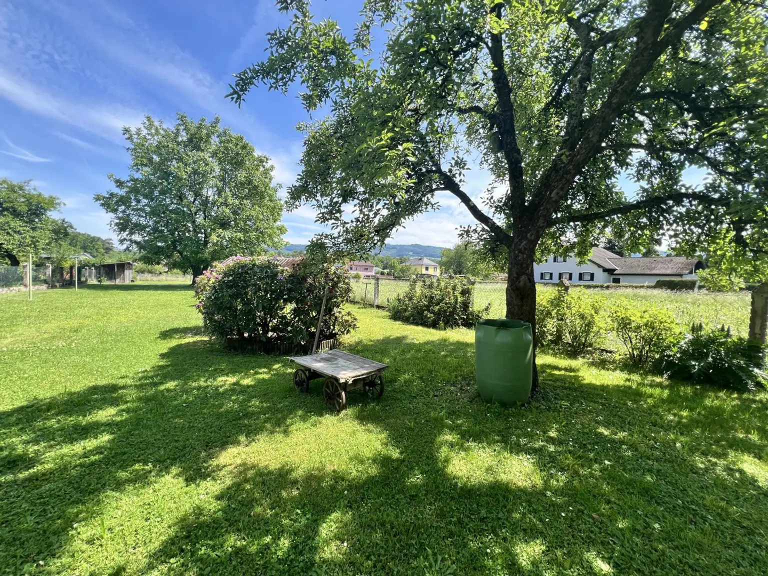 Gartenaufnahme