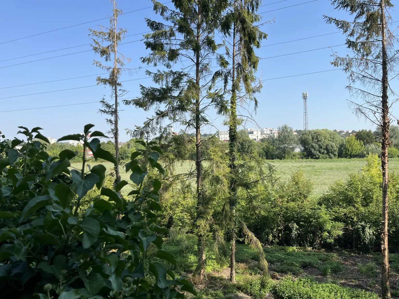 Traumhafte grüne Ruheoase - fast mitten in der Bezirksstadt
