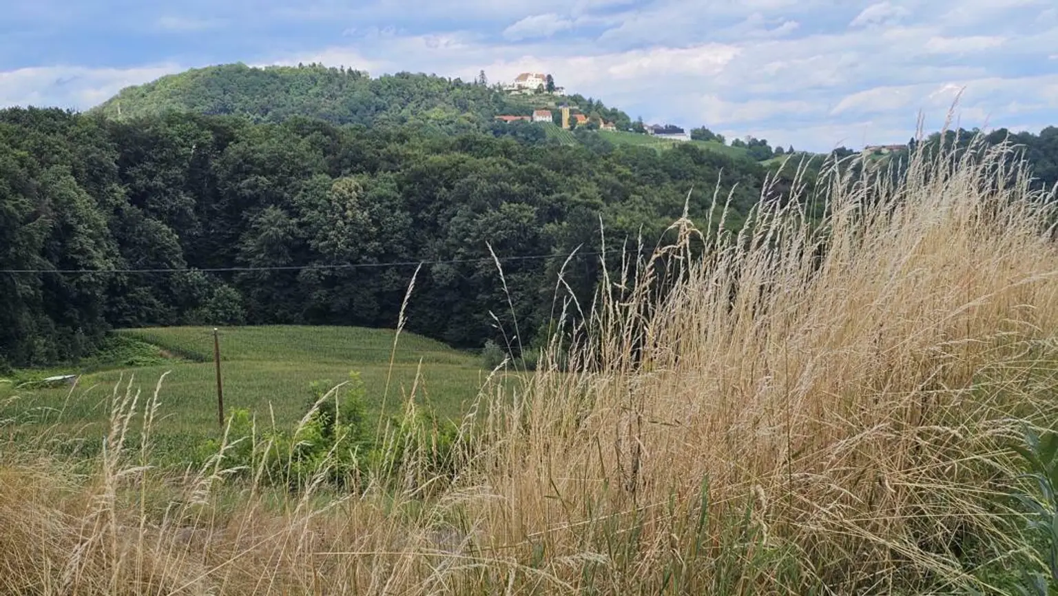 ** Geschmackvolles Zweifamilienwohnhaus - ca. 19ha LW-Fläche mit Wald ** unvergleichbarer Panoramablick auf Schloss Kapfenstein und das steirische Hügelland **