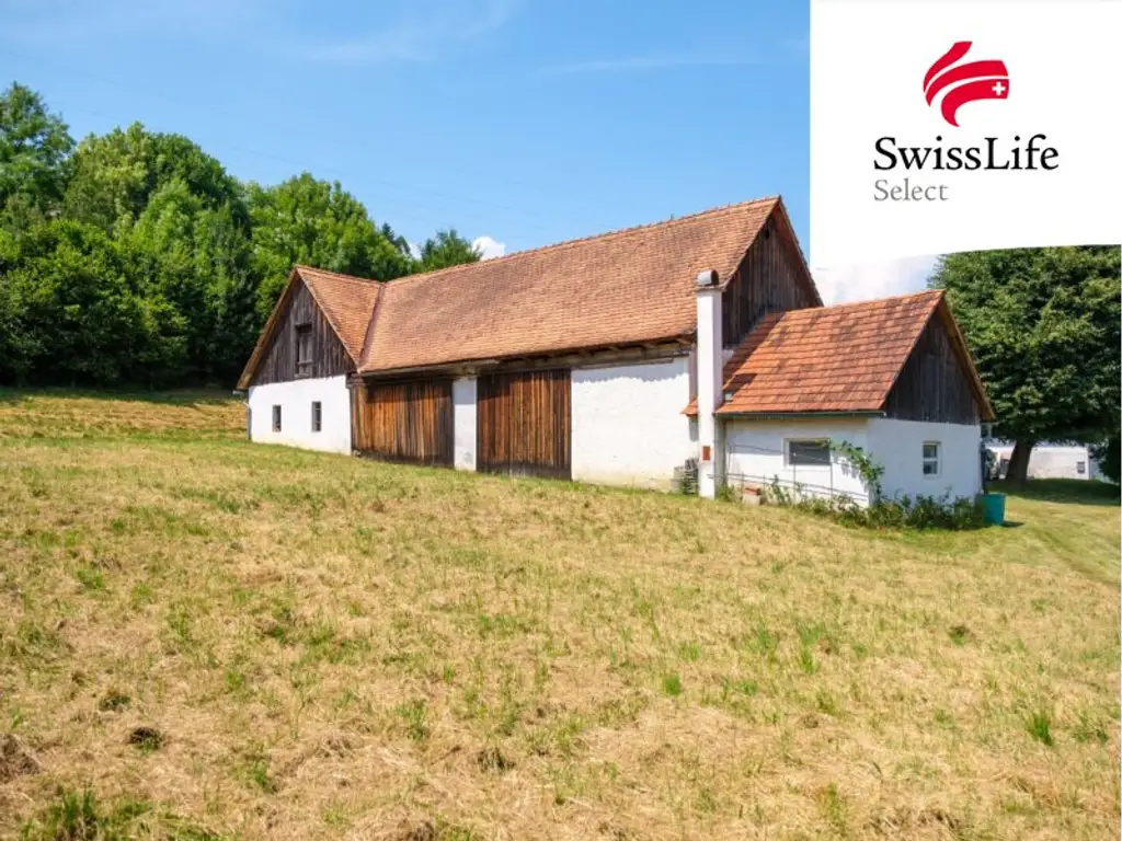 ehemaliger Bauernhof bei Gleisdorf | viel Platz für viele Möglichkeiten | 5.000 m2 Bauland (WA 0,2-0,4)