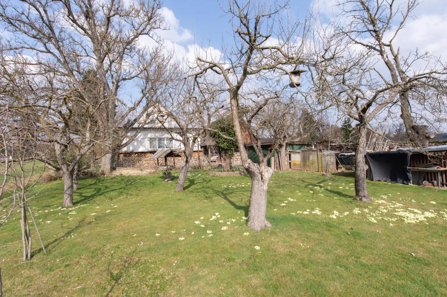 Wörth an der Lafnitz-51