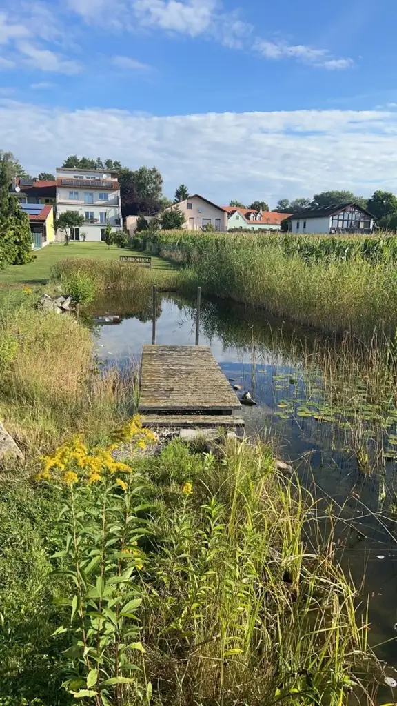 "Energieeffiziente Villa in schöner Lage"