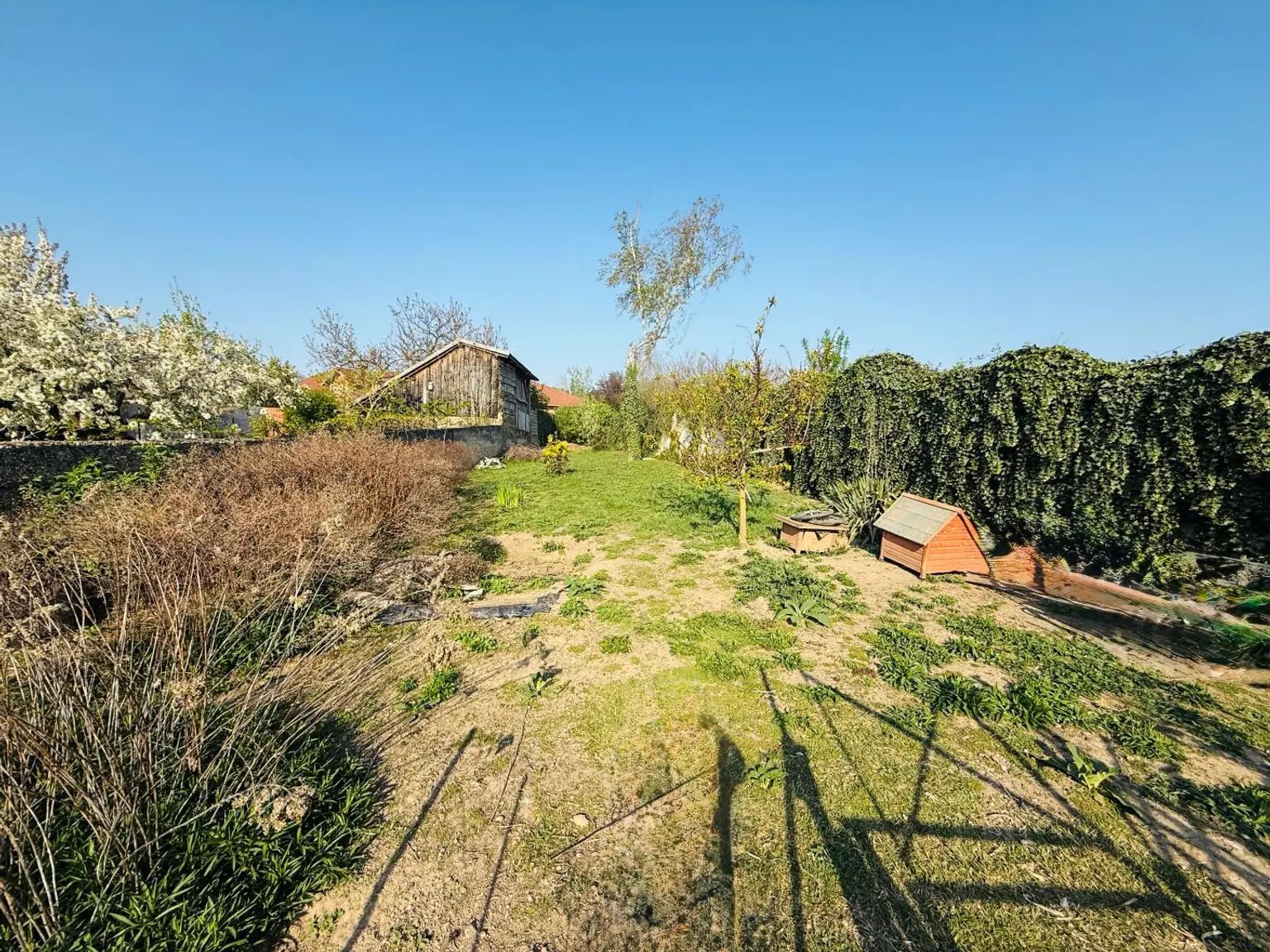 hinterer Garten ehemaliger Hühnerauslauf