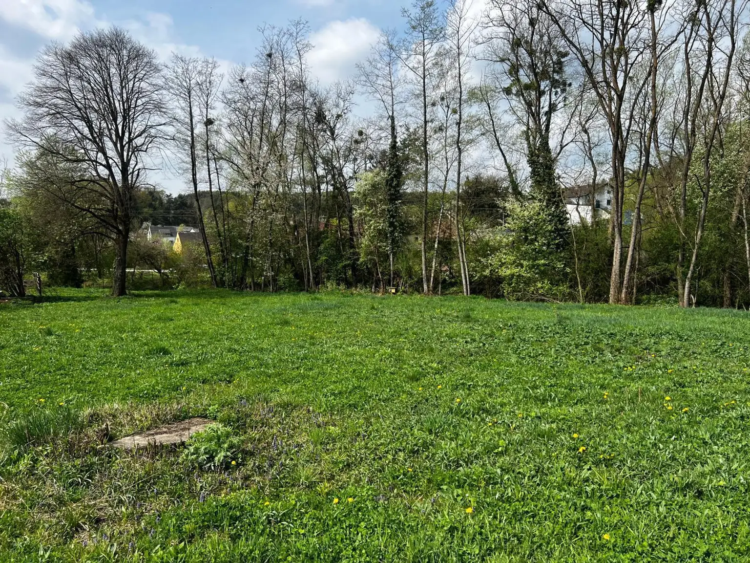 Grundstück von Vorne