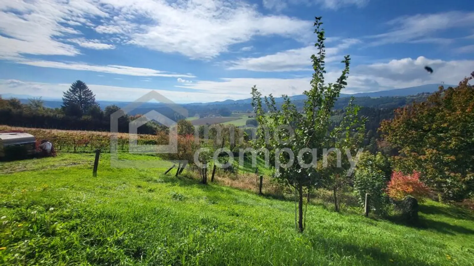 Zwischen Himmel und Hügeln - Panoramablick bis nach Slowenien