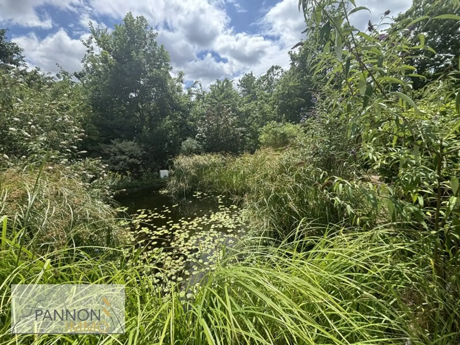 Luxus und Wohlbefinden - Traumvilla mit uneinsehbarem Garten in Grünlage