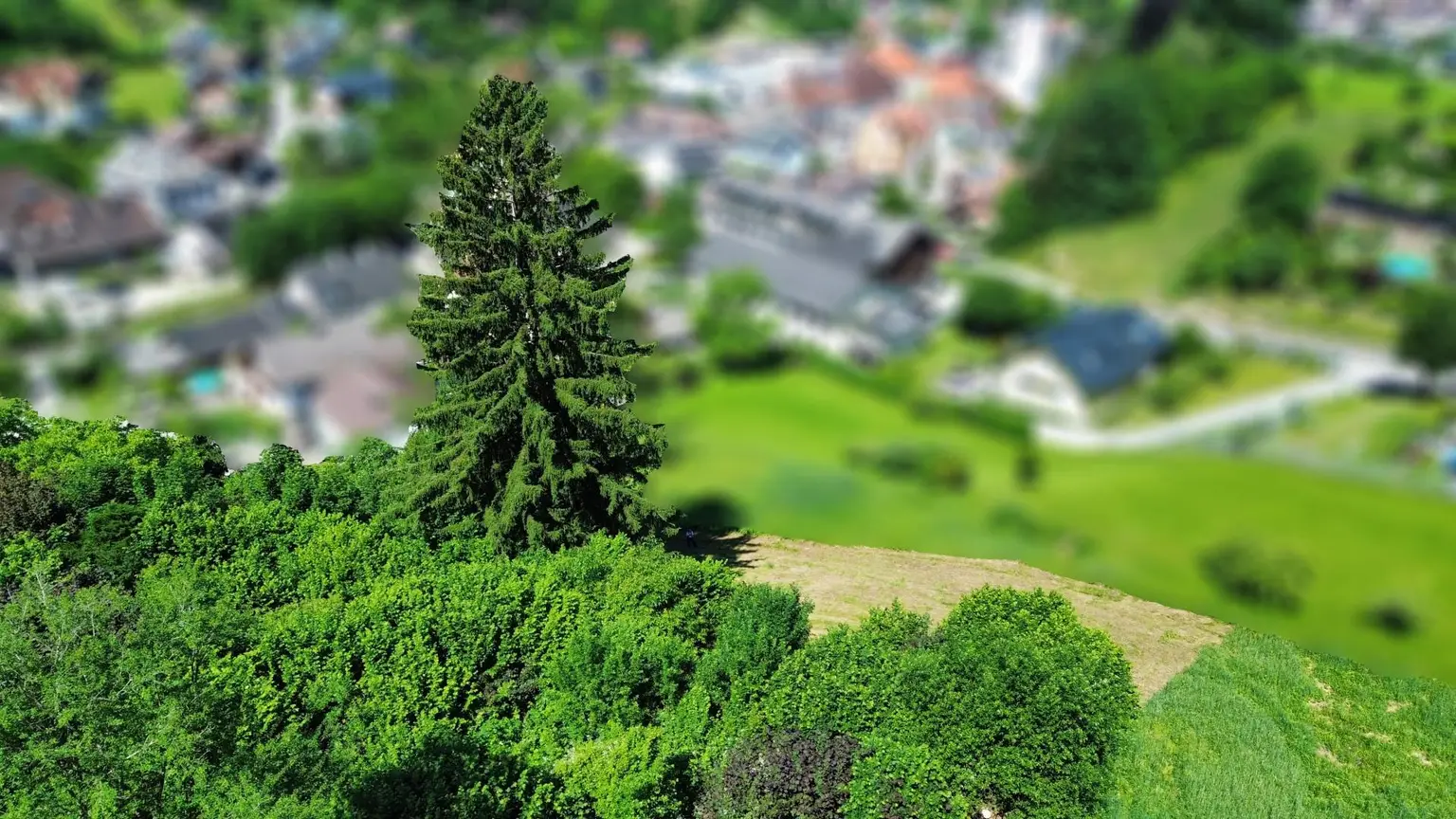 Blick Richtung Ortskern