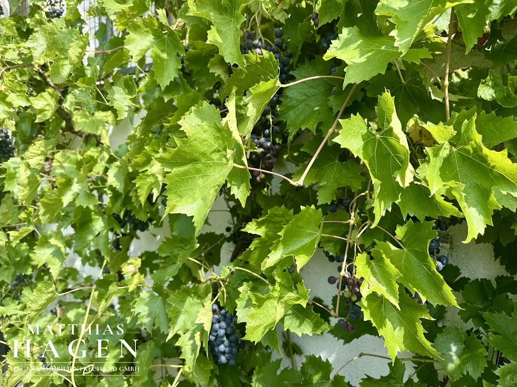 Doppelhaushälfte in ruhiger Lage in Dornbirn – Familienfreundlich mit großem Garten