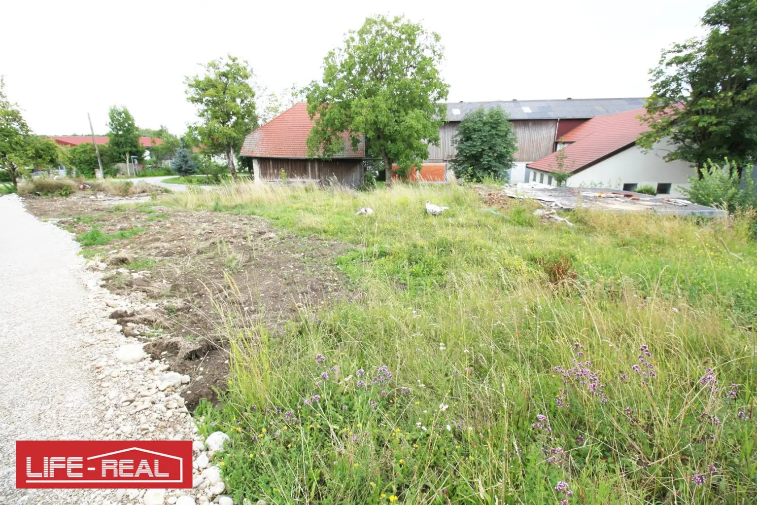 Großzügiges Baugrundstück in ruhiger Dorflage – voll erschlossen & ohne Bauzwang
