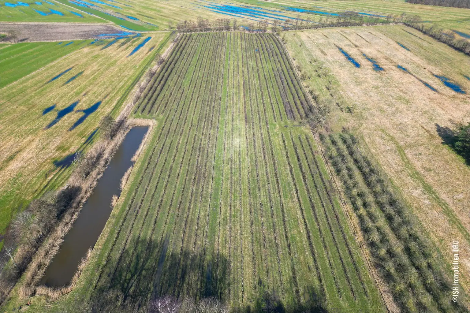 Obsthof mit Beregnungsbecken