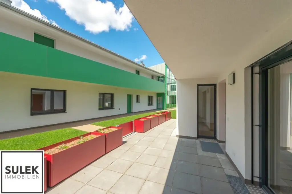 Helle 2-Zimmer Wohnung mit Terrasse im Projekt Wallner-Hof // ab 1.12. verfügbar!