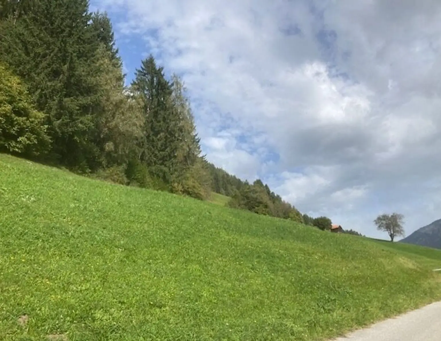Landwirtschaftliche Grundstücke mit zwei Bauplätzen - ohne Altbestand