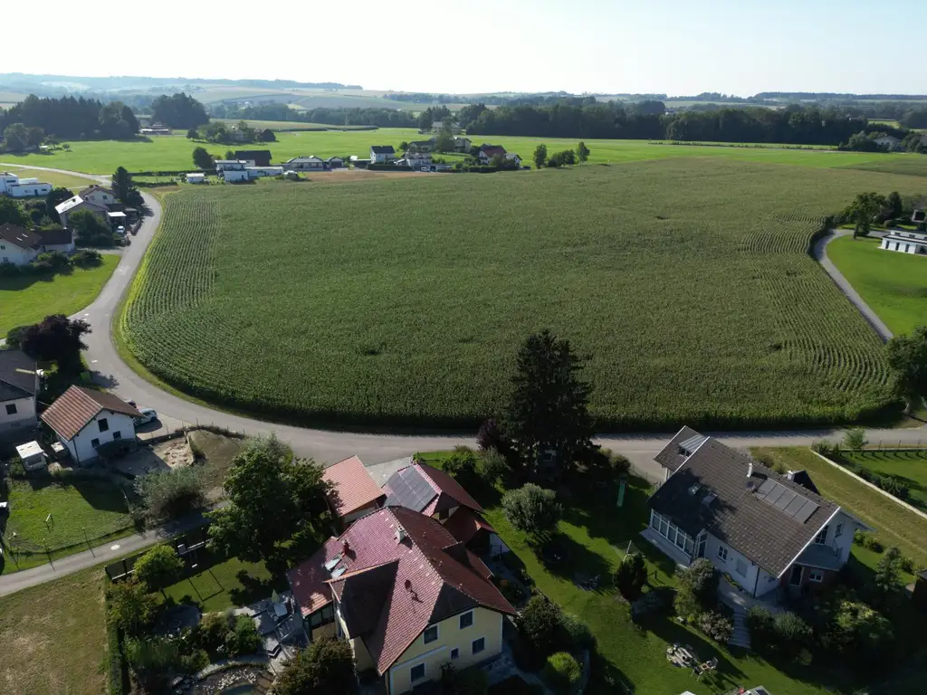 Neu vermessene Grundstücke in Breitenried