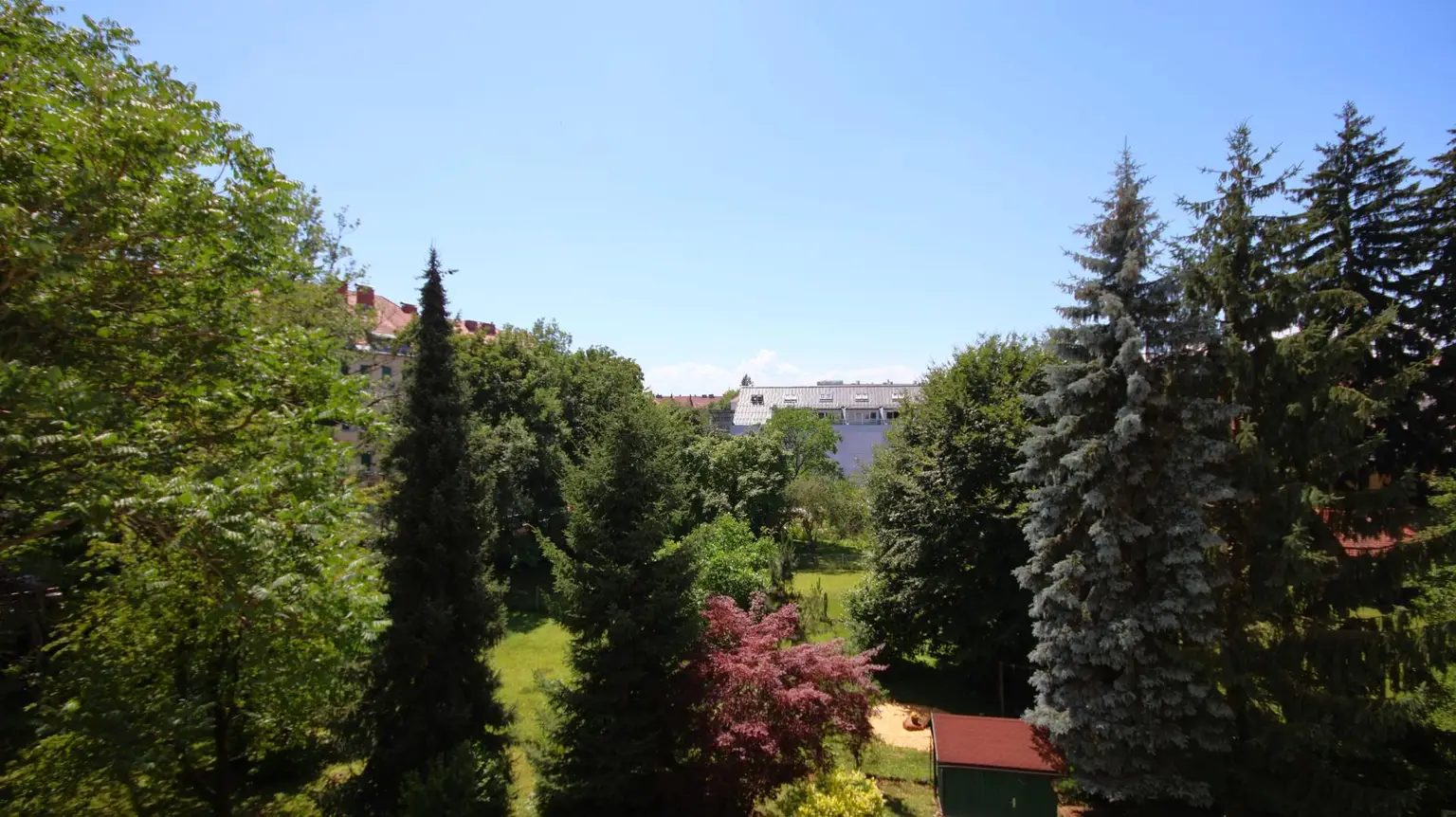 Ausblick ins Grüne