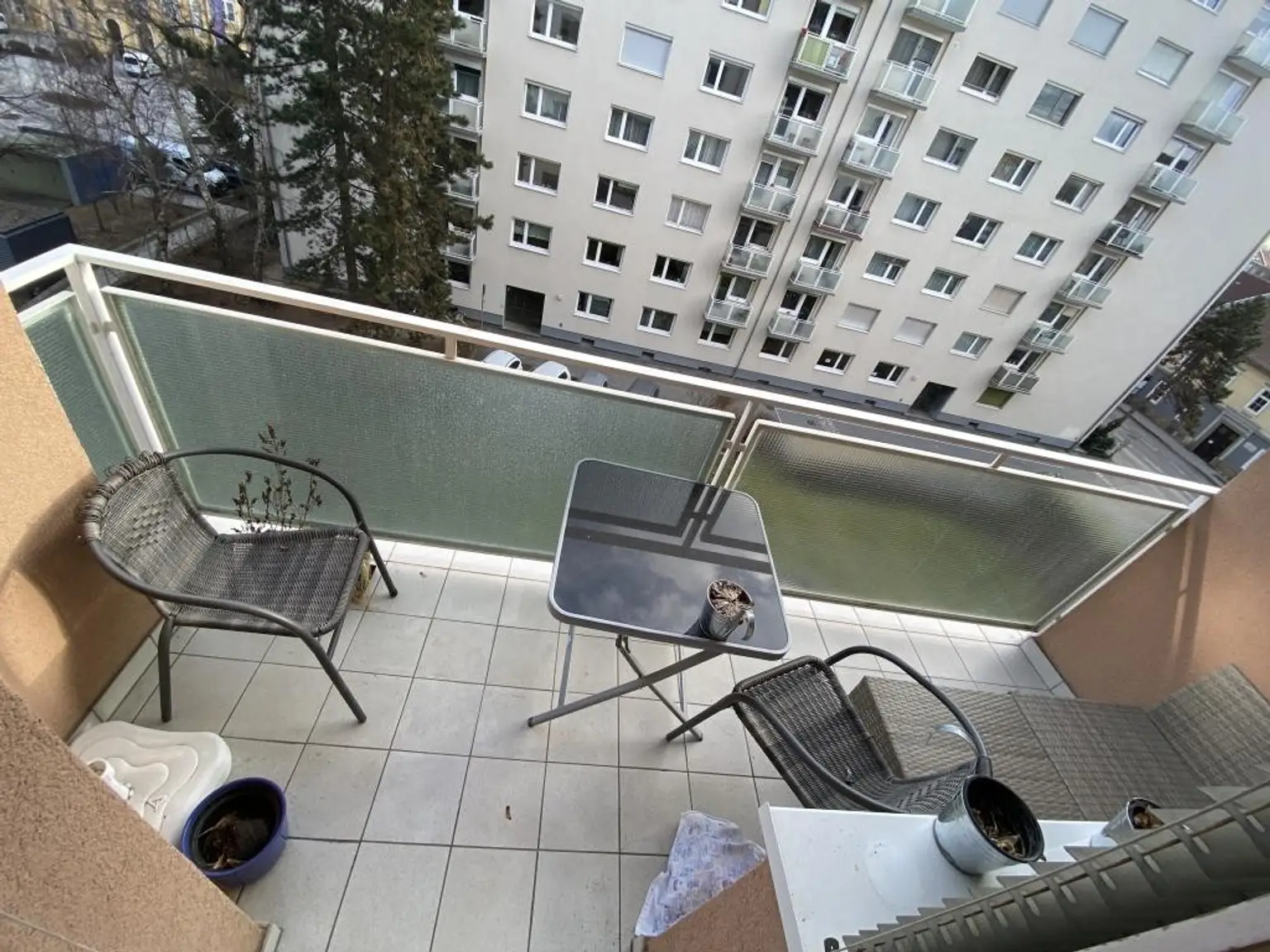 Foto 12.02.21, 15 20 41