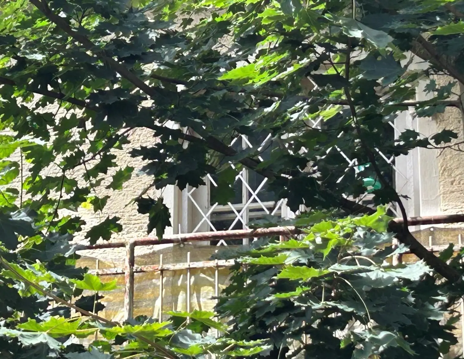 Salzburg Liefering: attraktiver 577 qm Baugrund mit Altobjekt, sehr gute Lage, ruhig, sonnig, GFZ 0,6, Toppreis