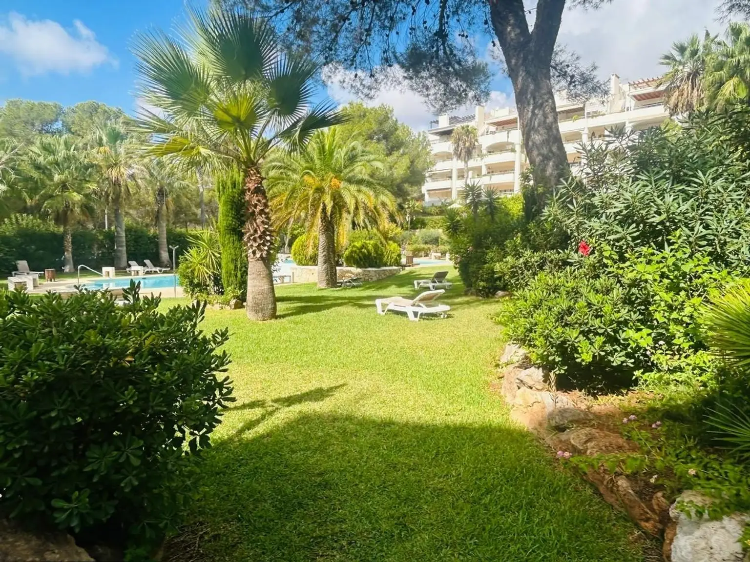 La Joya - Los Corales