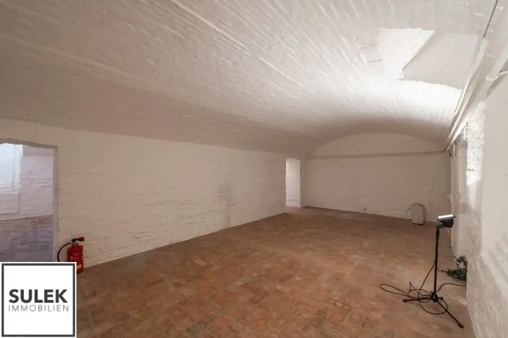 Ihr neuer Bürostandort am Stadtpark! Altbau mit großen Kellerräumlichkeiten - sofort beziehbar!