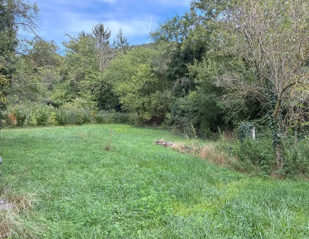 Exklusives Baugrundstück in begehrter Lage in Hinterbrühl - zu kaufen in 2371 Hinterbrühl