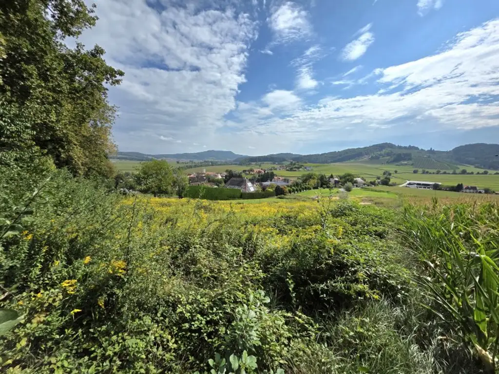 Wohnen am Waldrand mit Fernblick!