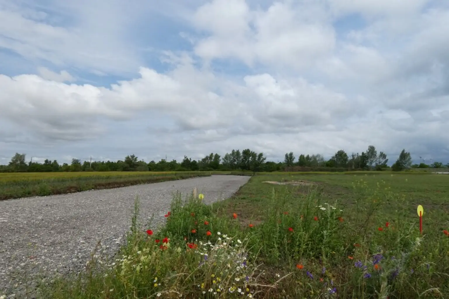 NEUER GEWERBEPARK GEEIGNET FÜR KLEIN- UND MITTELBETRIEBE