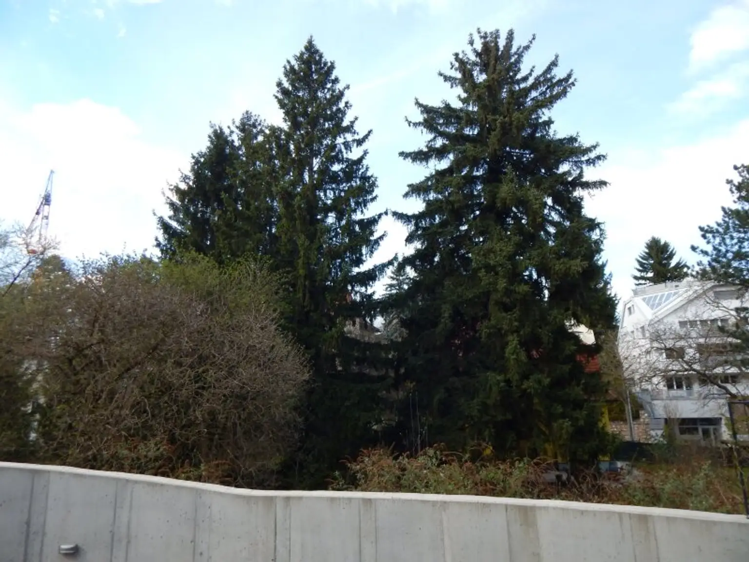 "Wohntraum" Erstbezug mit Terrasse oder Garten im Cottageviertel vom 17.Bezirk