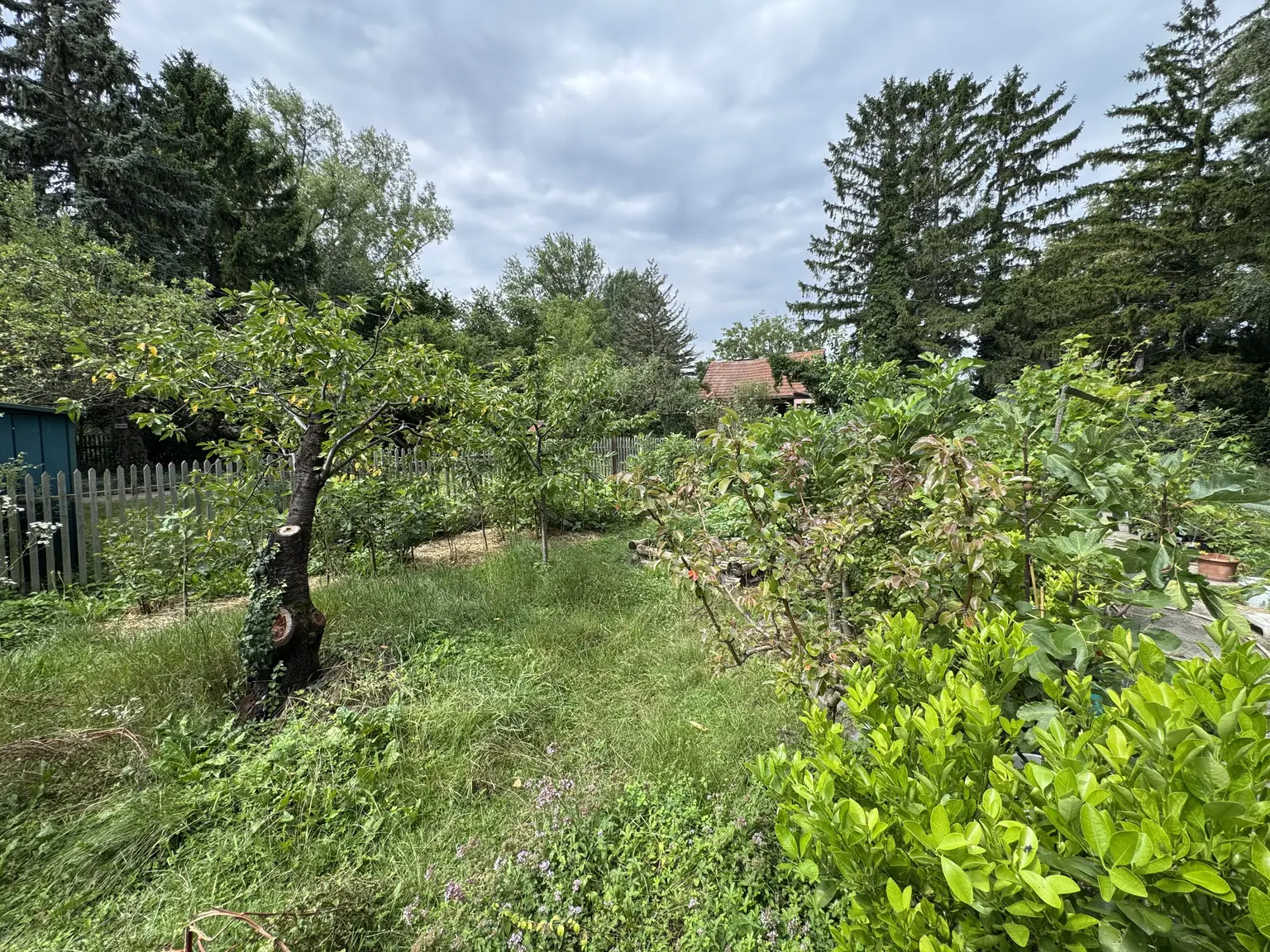 Exklusives Grundstück in Traumlage am Mühlwasser