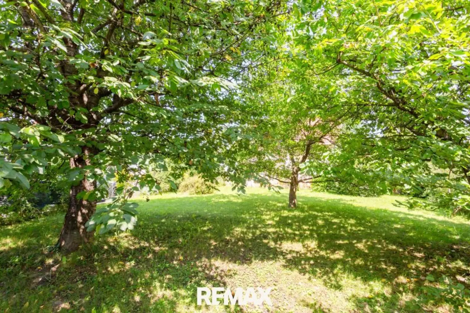 Garten_Altbaumbestand