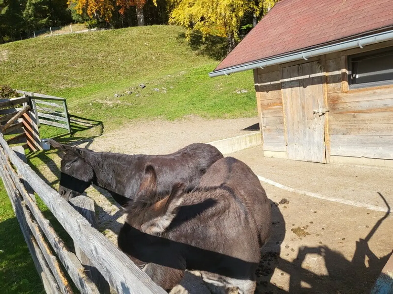 Renaissance-Schloss auf 15 ha Grund – seltene Gelegenheit für touristische Nutzung oder Family Office