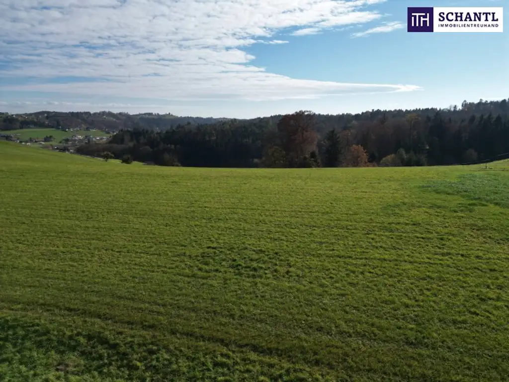SPITZEN Grundstück vollerschlossen mit hoher Bebauungsdichte - ca. 330m² Wohnfläche in Oisnitz / St. Josef - Nähe Lannach