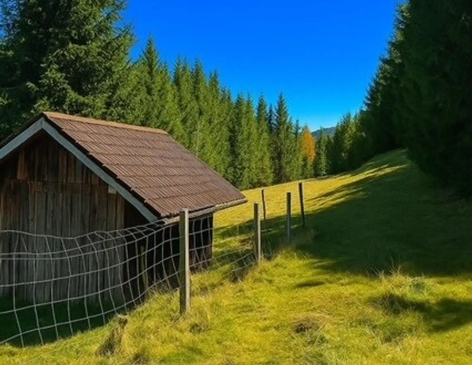 +++ 22,89 ha Wald- und Wiesenliegenschaft mit Haus und eigener Quelle in ruhiger Traumlage zu verkaufen+++