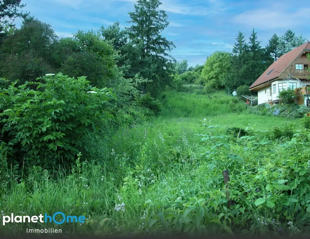 An der Wiener Stadtgrenze - zwei nebeneinanderliegende Grundstücke in Toplage bei Hagenbrunn!
