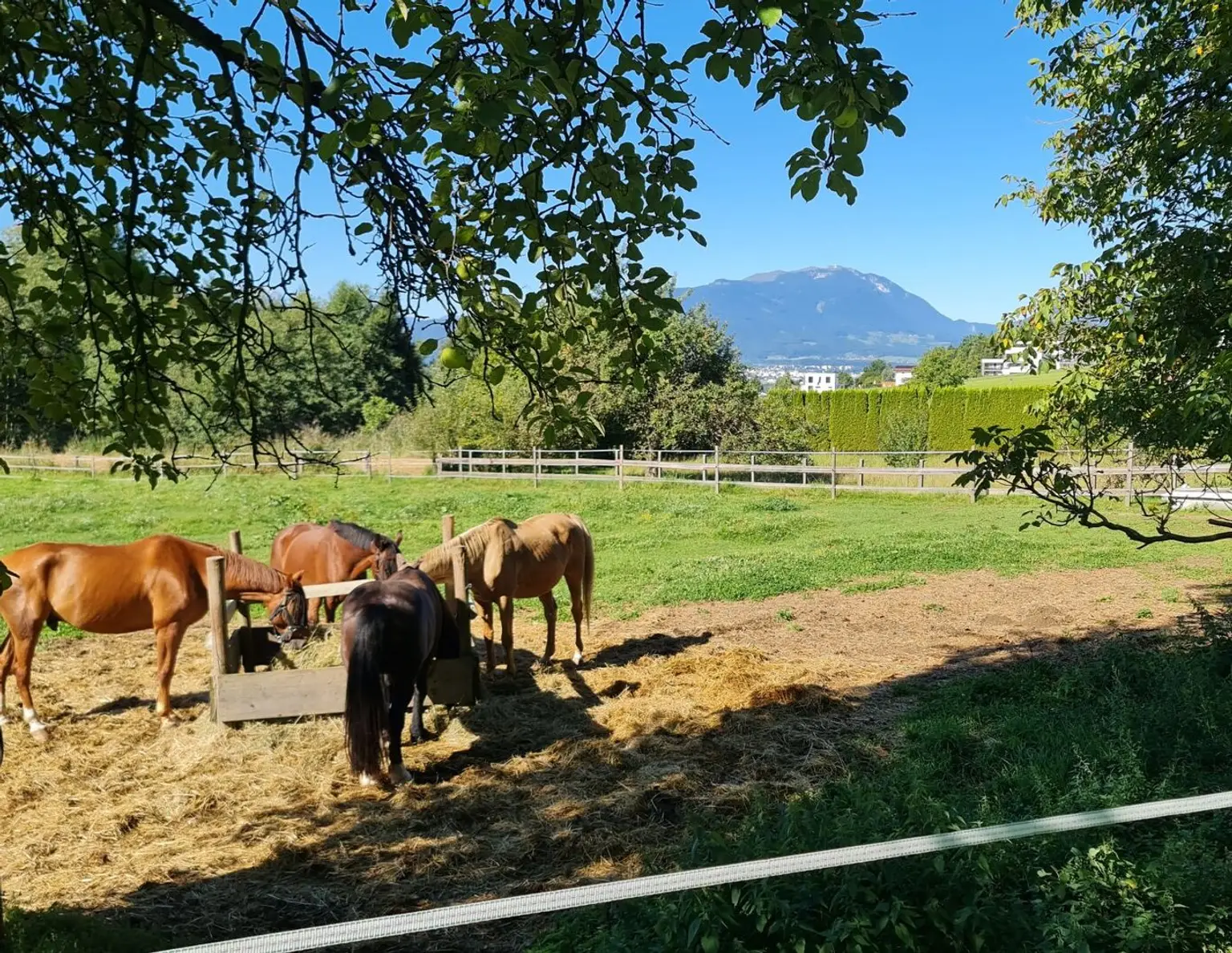Einzigartiges Paradies für Mensch und Tier in herrlicher Aussichtslage