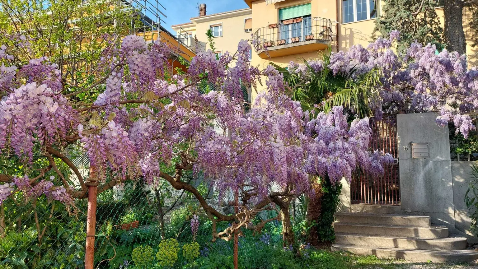 Gemütliches Apartment im Zentrum von Triest | Grün- und Ruhelage